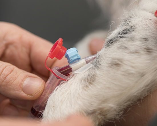 Consultez notre site web