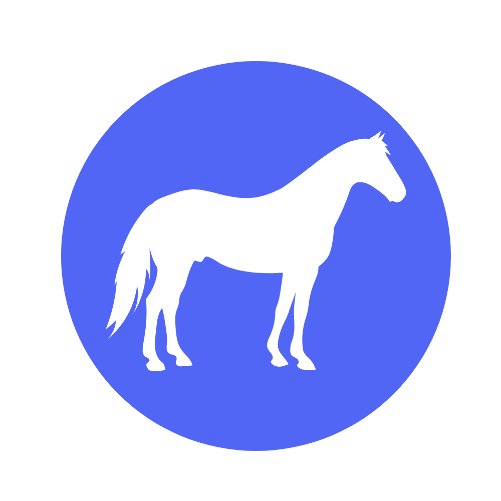 Allez sur la page /blog-chvx