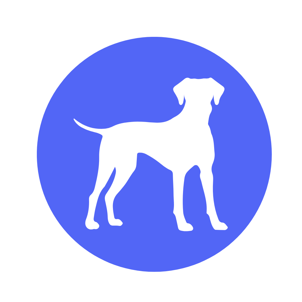 Allez sur la page /blog