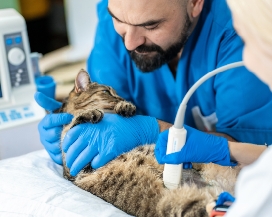 Consultez notre site web