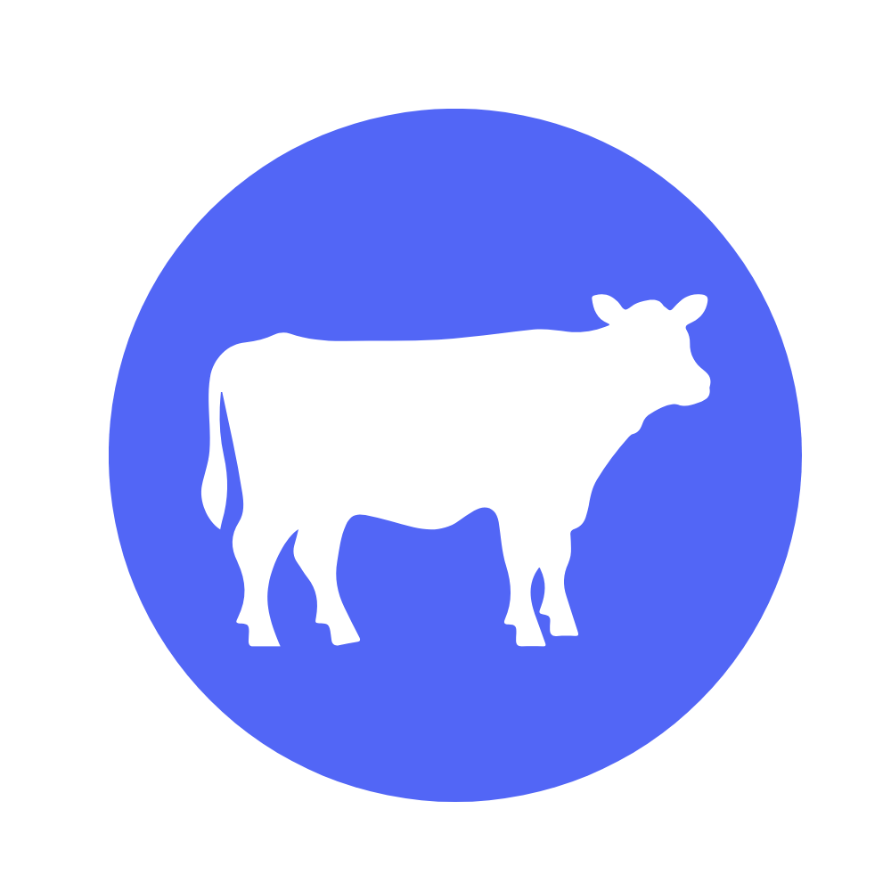 Allez sur la page /blog-betails