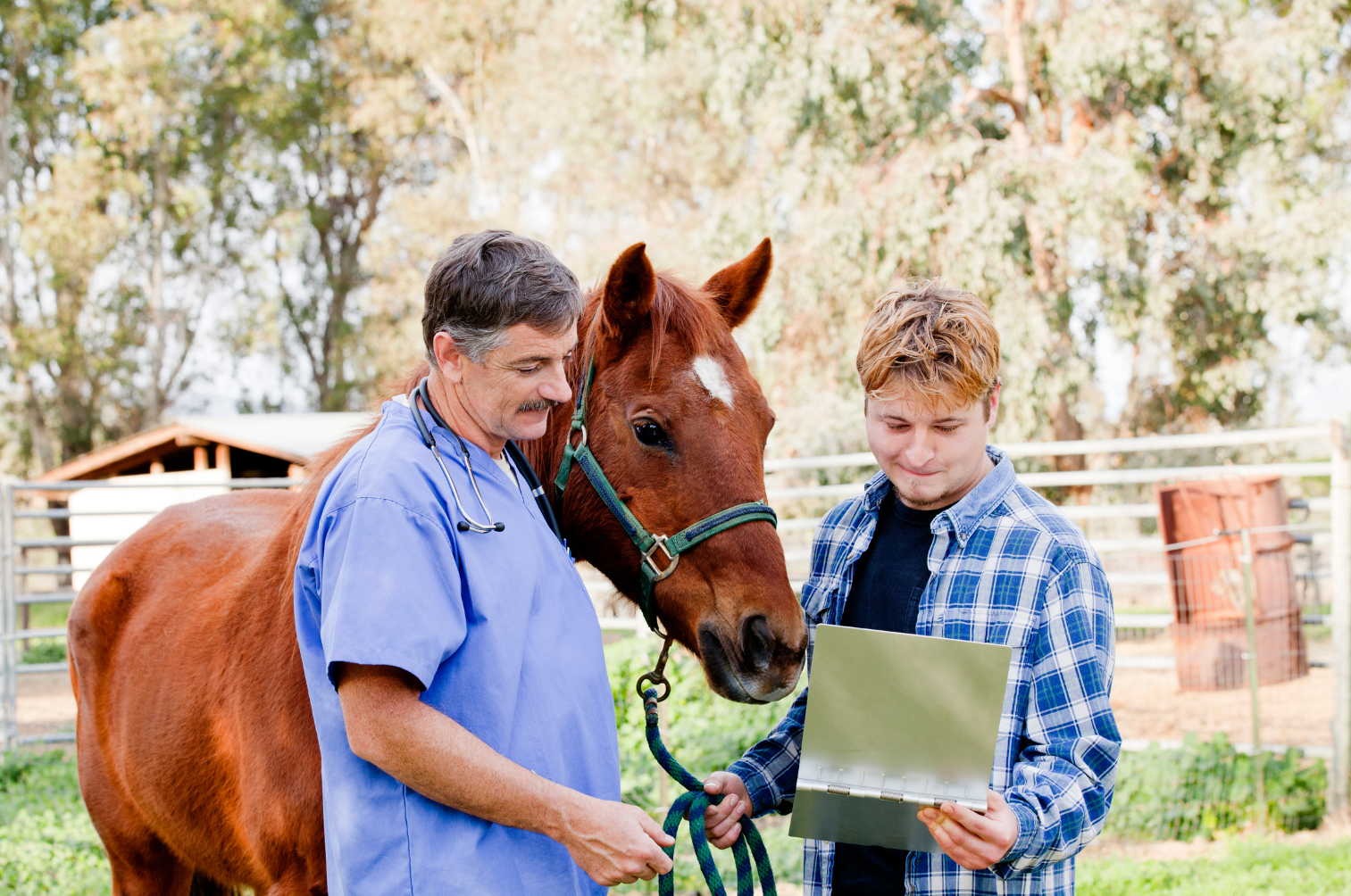 Allez sur la page /annoncer-un-prix